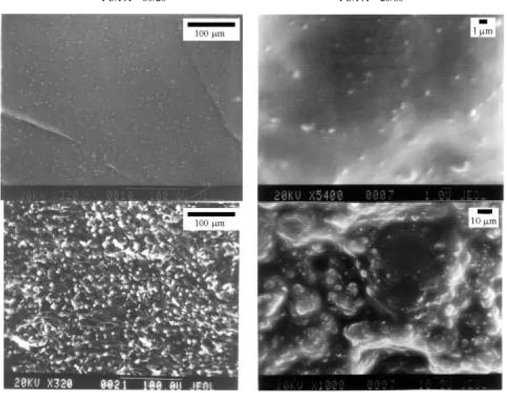 Figure 3. SEM of SIN’s. From top to bottom; right, PU/PA = 20/80: (1) X = 32.6% (5400X) and (2) X = 36.5% (1000X); left, PU/PA = 80/20: (3) X = 32.6% (320X) and (4) X = 36.5% (320X).