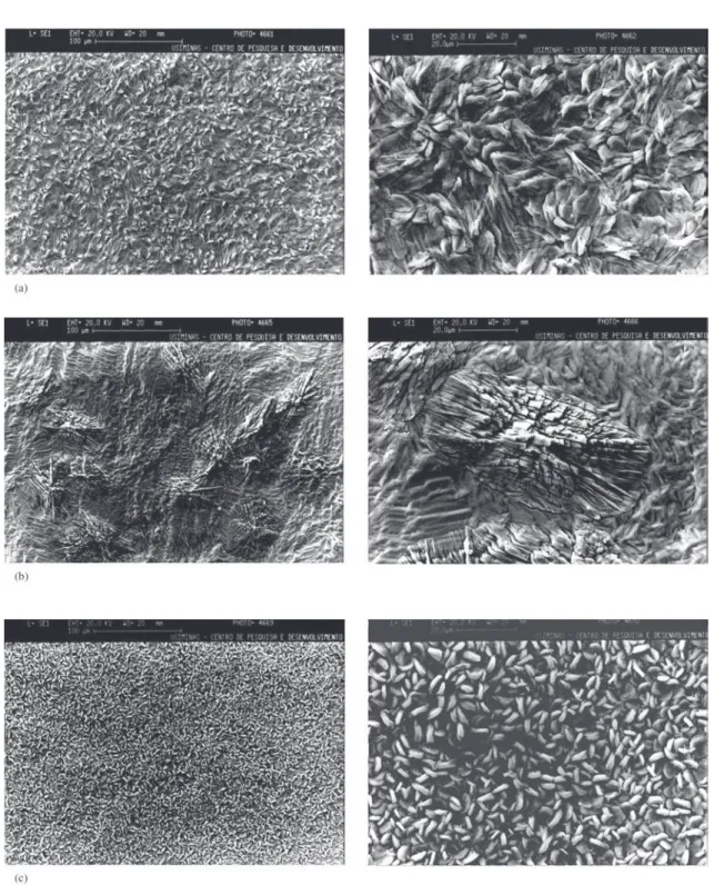 Figure 1 presents SEM micrographs showing the super- super-ficial state of the phosphate layer and variations according