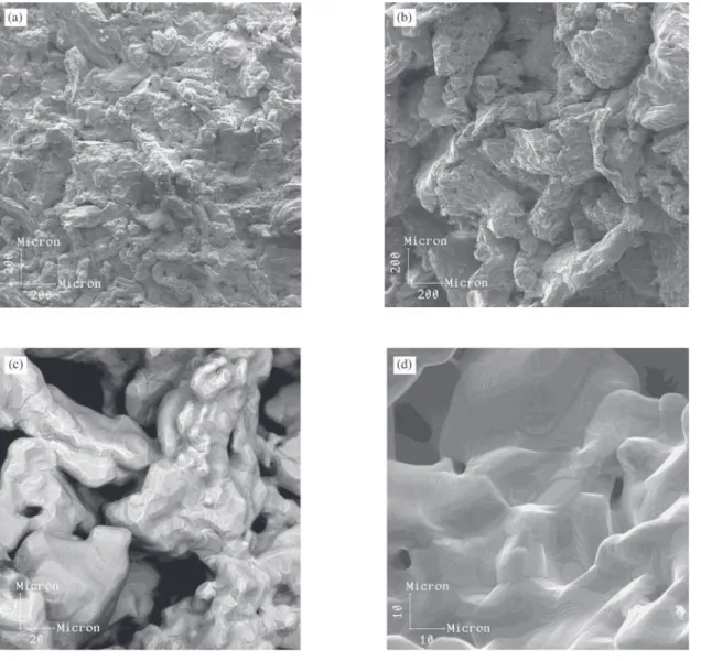 Figure 2. SEM surface topographical images of the specimens compacted at 200 MPa:type 2 in (a) (c); type 4 in (b), type 1 in (d).