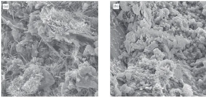 Figure 3. Photomicrographs of Concrete: a) region of formation of ettringite; b) portlandite and calcium silicates.