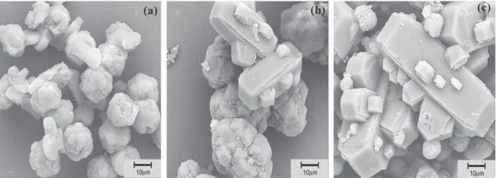Figure 2. SEM micrographs of precursor Na/ZSM-5 having a Si/Al ratio equal to: (a) 11, (b) 23 and (c) 42.