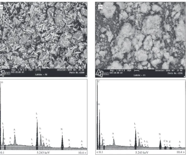 Figure 2. Scanning electron microscopy coupled to energy dispersive X-ray spectrometry for LaNiO 3  precursor