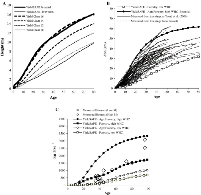 Fig. 2 Potential and water reduced growth calibration results of YieldSAFE for a tree height vs Yield Classes from  Sanchez-Gonzalez et al