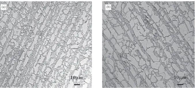 Figure 3. Optical micrographs of non-deformed samples quenching from different temperatures