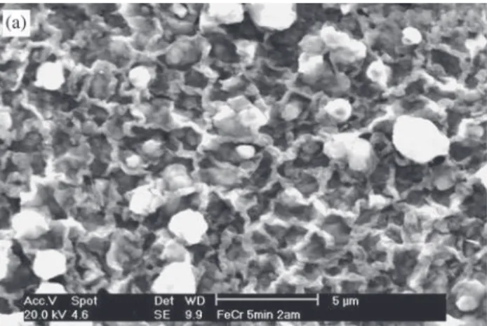 Figure 6. Surface of the FeCr alloy sulfidized for 3 min at 700 °C.