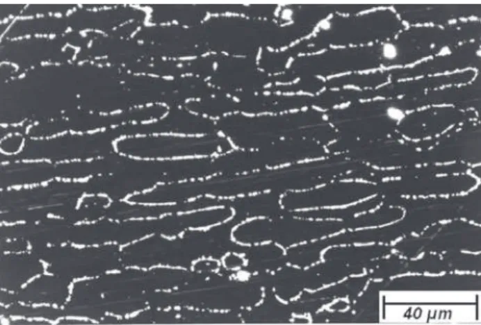 Figure 8. Dark field, optical microscopy. Samples aged at 850 °C for 600 min and quenched in water