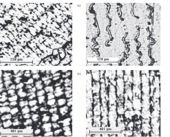 Figure 7. Resulting microstructure for Sn-2.5wt%Pb alloy: a) celullar/dendritic P = 5 mm, λ 1 = 39 mm, V L  = 1.04 mm/s,  T • = 1.8 K/s; b) cellular P = 50 mm, λ 1 =163 mm, V L = 0.4 mm/s,  T• = 0.28 K/s.