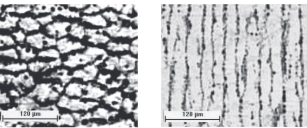 Figure 9. Dendritic microstructure for Sn-5wt%Pb alloy (P = 40 mm, λ 1 = 95 mm, V L = 0.38 mm/s and  T • = 0.24 K/s).