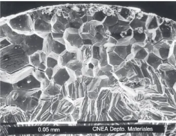 Figure 3. A typical fracture surface of Zry-4 wire strained at room temperature in a 1 M KBr solution at 0.62 V NHE 