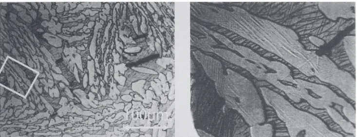 Figure 2. Deformation and cracking of a F32 T1 unnotched specimen after fracture. A magnified detail can be seen at right.