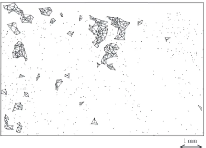 Figure 5. Crack map of a F20 (aged 10 4  h at 400 °C) specimen.