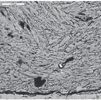 Figure 6. SEM micrograph of the microstructure of PMR obtained bulk Bi 2+x Sr 3-y Ca y Cu 2 O 8+∆  illustrating presence of (Sr,Ca) 14 Cu 24 O 41 (14:24-AEC).