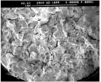 Figure 4.  Scanning electron micrographs for 254 SMO sensitized, after SSRT in 1mol/L NaCl solution at 80 °C.