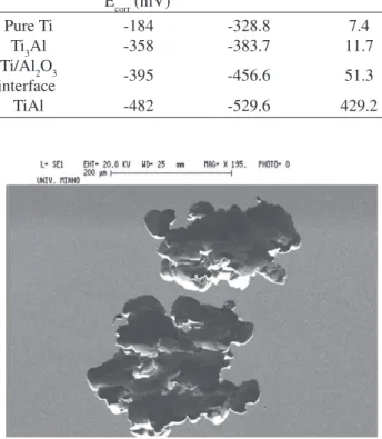 Figure 5. SEM micrograph of the TiAl sample after potentiodynamic tests.