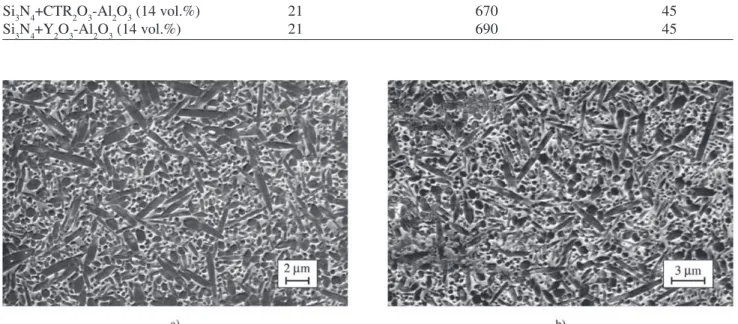 Figure 2. SEM micrographs of polished and plasma etched surfaces of sintered samples: a) SNYA; b) SNTRA.