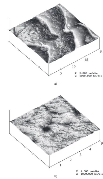 Table 1. Roughness values (RMS) obtained in 1.719 × 1.719 µm areas, from 20 × 20 µm fields.