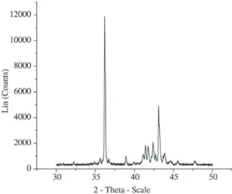 Figure 2. Typical X-ray image obtained with the MAXIM tech- tech-nique.