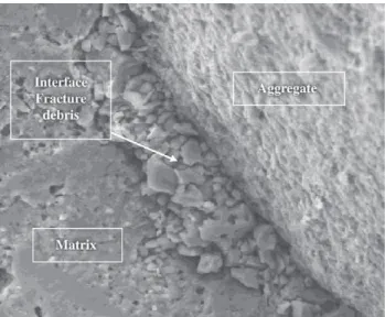 Figure 9. SEM Micrograph of fracture surface of a fired specimen (1000 °C/4 h) – Aspect ratio 3 (500×)