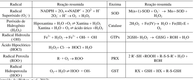 Tabela 3. Oxidantes endógenos e enzimas antioxidantes mais importantes. 