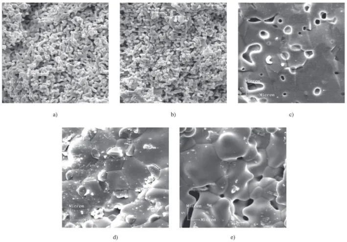 Figure 6. Scanning Electron Micrograph of the Sm 0.6 Ho 2.4 Fe 5 O 12  rings sintered at temperature “ST”