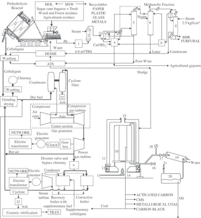 Figure 1. Biomass Refinery basic technogies.