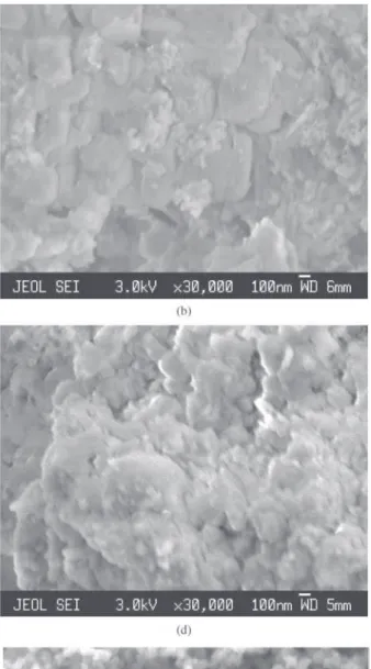 Figure 3. Microstructures of some powders produced by the Biomass Refinery: a) 100% MOL ash; b) (CL)* ash washed with deionised water; c) 100% wood with bark CL ash washed with deionised water; d) Silica of rice husk CL washed with potable water and burned