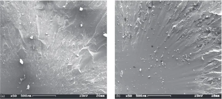 Figure 5. Fracture surface aspects. a) Common fracture surface for the brittle epoxy rich mixtures showing a small and not well defined mirror zone