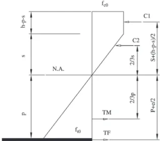 Figure 10. Distribution of stresses in the transversal section (fail- (fail-ure by traction in the wood).