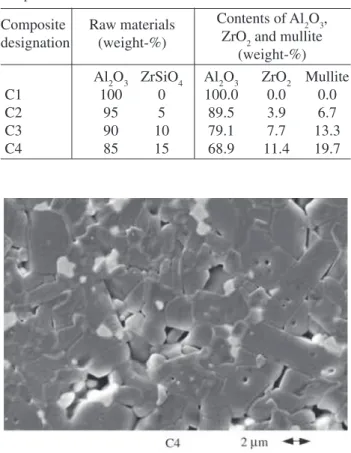 Figure 1 shows the typical microstructure of the compos- compos-ite prepared with 85 wt% of alumina and 15 wt% of zircon.