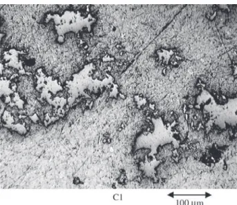 Figure 2. Example of the slit islands of the fracture surface of the C1-composition obtained by SIM