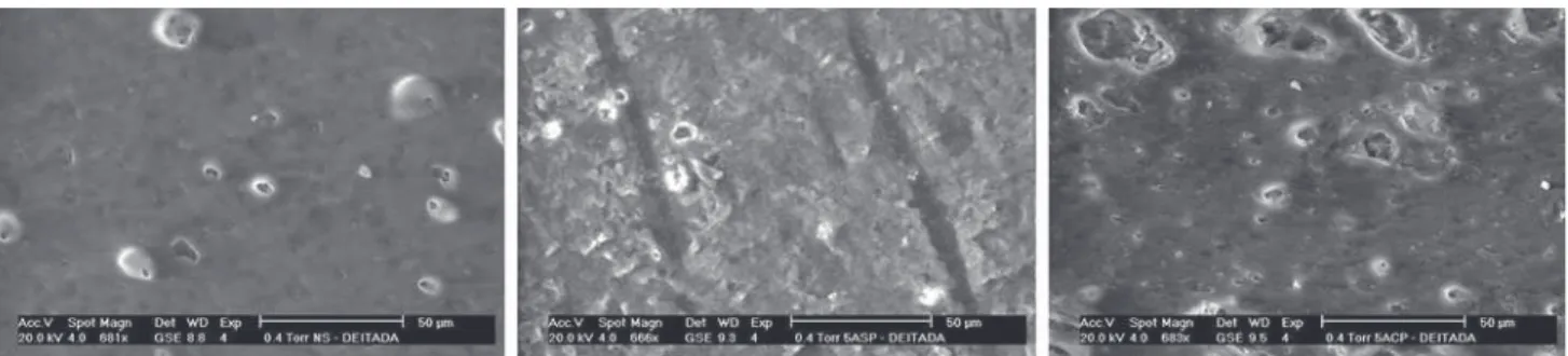 Figure 4. SEM micrograph of the external surfaces of the samples for (a) NS; (b) 5YWP; (c) 5YBP.