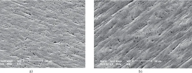 Figure 2. SEM photomicrographs under 450× magnification after test with sonic apparatus in (a) c.p