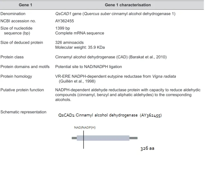 TABLE 2: Identification and characterisation of Quercus suber defence genes.