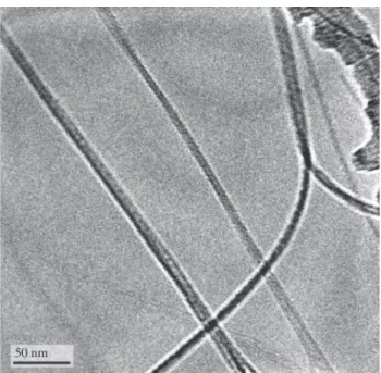 Figure 1 shows the High Resolution Transmission Elec- Elec-tron Microscopy (HRTEM) image of a NiCoLi sample, where the bundles are seen as isolated traces, surprisingly, a very different image from that obtained for the bimetallic catalyst samples
