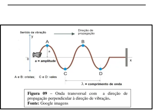 Figura  09  –  Onda  transversal  com    a  direção  de  propagação perpendicular à direção de vibração