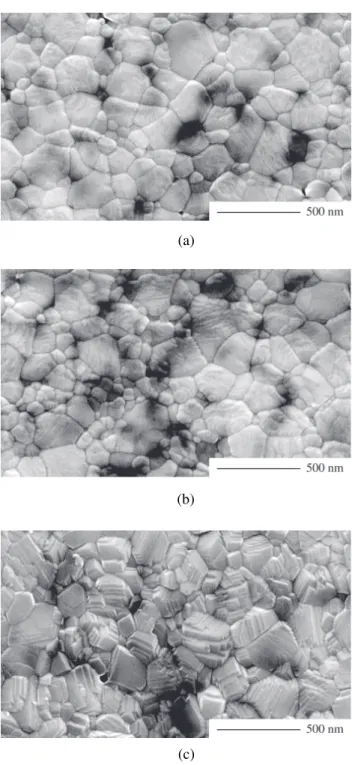 Figure 3. SEM Micrographs of a) C03, b) C05, c) C07 at 800 °C, with a CHR of 5 °C/min.