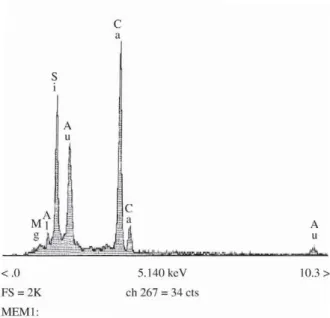 Figure 8. EDS image of the main chemical composition of the cement. The gold (Au) on the spectrum is coming from the  prepa-ration of the sample (metallization).