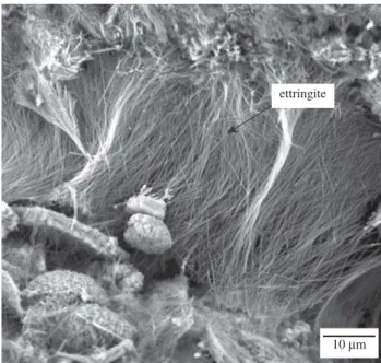 Figure 16. Micrograph of the mortar-containing residue with grain sizes of 0.30 to 0.59 mm, highlighting the ettringite crystals.