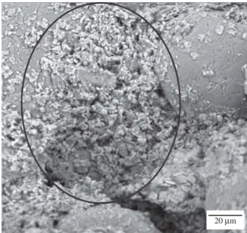 Figure 19. Micrograph of the mortar containing residue with a grain size of less than 0.15 mm, highlighting the ettringite  crys-tals.
