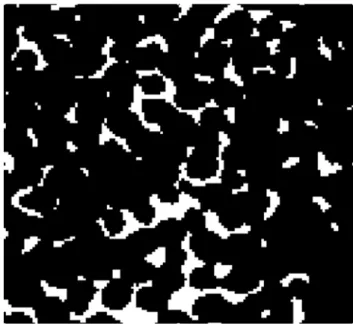 Figure 15 shows a comparison of the normalized autocorrelation for the 60, 75 and 90 ppi ceramic foams