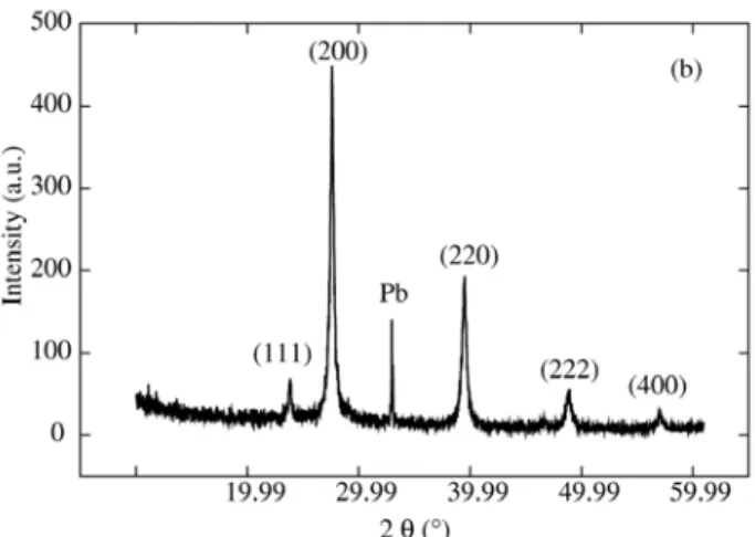 Figure 3. SEM images for PbTe thin films electrodeposited on PSL etched during 3 min at potential of 0.98 V × Ag/AgCl