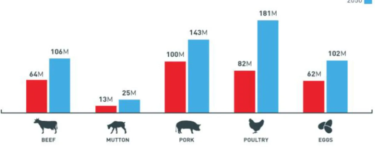 Figura 3- Previsão da procura mundial de carne animal para 2050 de diferentes origens (vaca, cordeiro,  porco, aves e ovos respetivamente) 