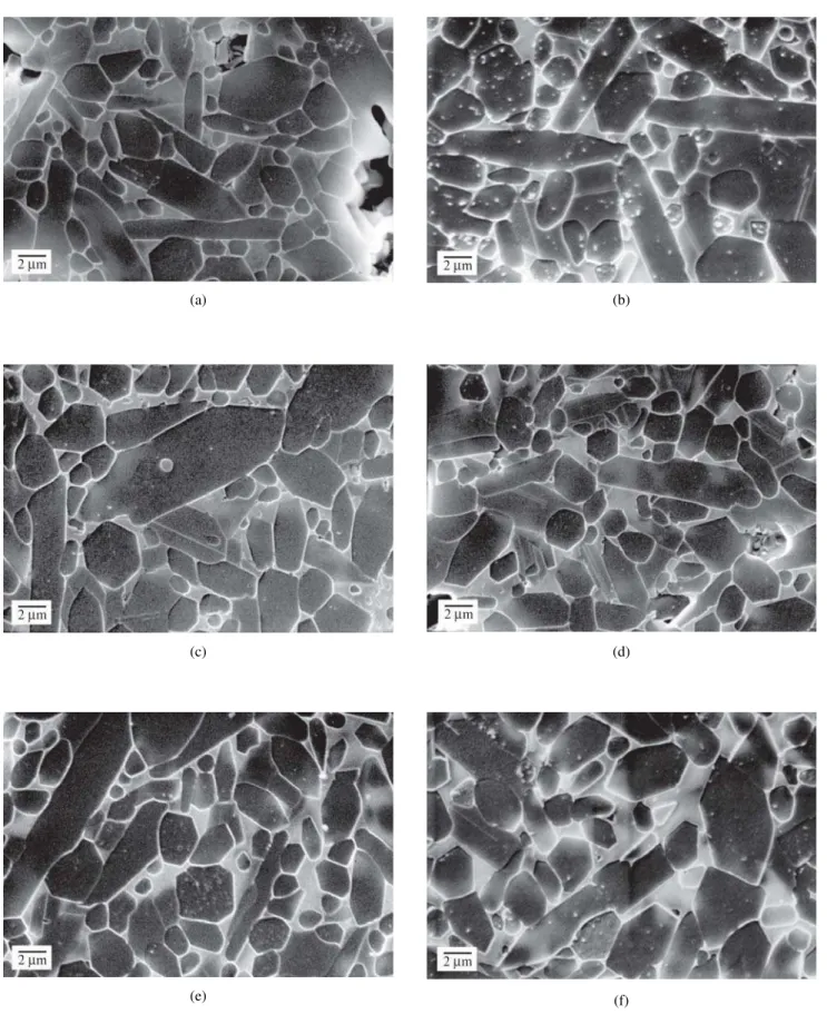 Figure 3. SEM micrographs of sintered SNY14 (a, b and c) and SNTR14 (d, e and f) samples