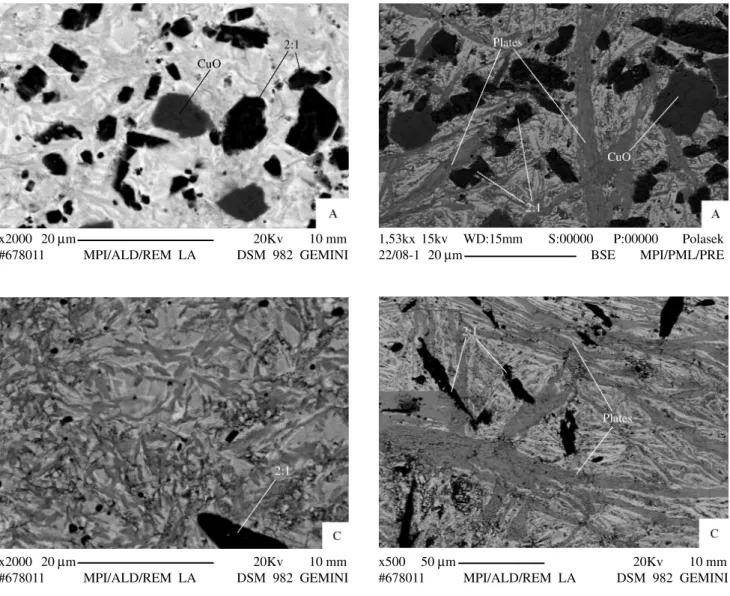 Figure 9. SEM images of BSCCO/Ag quenched samples, with the nominal compositions A and C, heated in 0.08 atm O 2 : 855 °C/10 min (left); 855 °C/10 min and slow cooled (0.1 °C/min) to 825 °C (right)