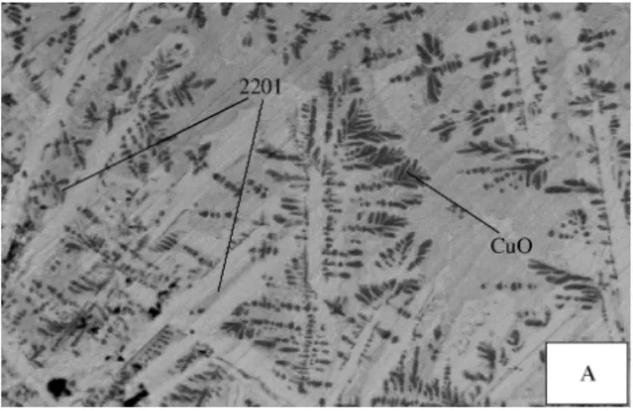 Figure 7. SEM micrographs of BSCCO/Ag quenched samples with the nominal compositions A, B and C, heated in 0.08 atm O 2 : 900 °C/5 min and slow-cooled to 850 °C (left); 900 °C/5 min and slow-cooled to 815 °C (right)