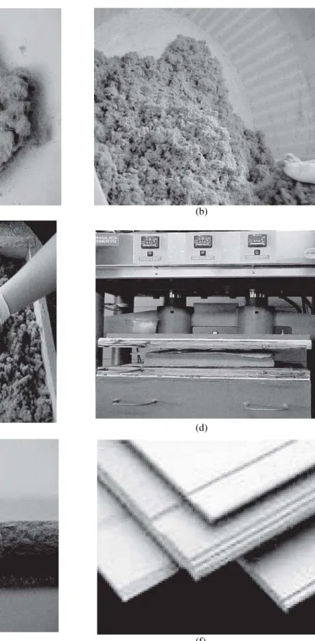 Figure 1. Sequence of the MDF production process in the laboratory.