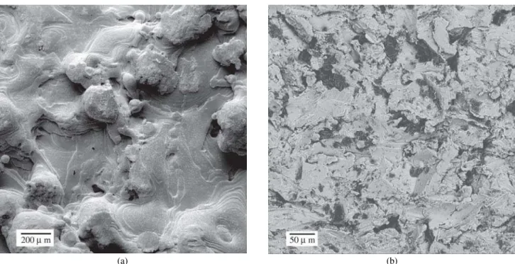 Figure 1. SEM images using different electron detectors: a) topographic image of a titanium orthopedic plate coated with titanium by plasma spray process