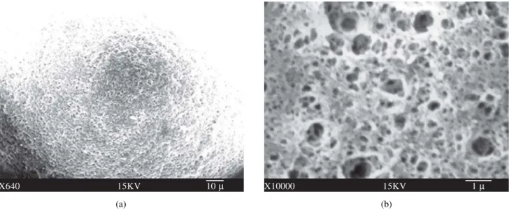 Figure 2. SEM micrograph of HEMA/MMA (1:1) and 10% EDMA copolymerized beads with 35% addition of porogen solvent, DOD, before (a, 640 ×, scale bar 10 µm) and after (b, 10.000 ×, scale bar 1 µm) Soxhlet extraction.