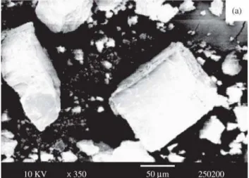 Figure 4. Scanning electron micrograph of: a) cubes, × 350; b) cubes, × 5000; c) octakis (chloropropyldimethylsiloxy) octasilsesquioxane × 5000.