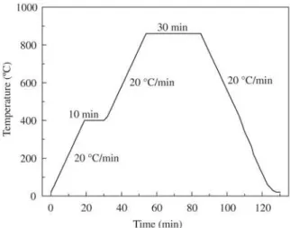 Figure 7. Scanning electron micrograph of transversely cross-sec- cross-sec-tioned sample, pre-sintered at 860 °C for 30 min.